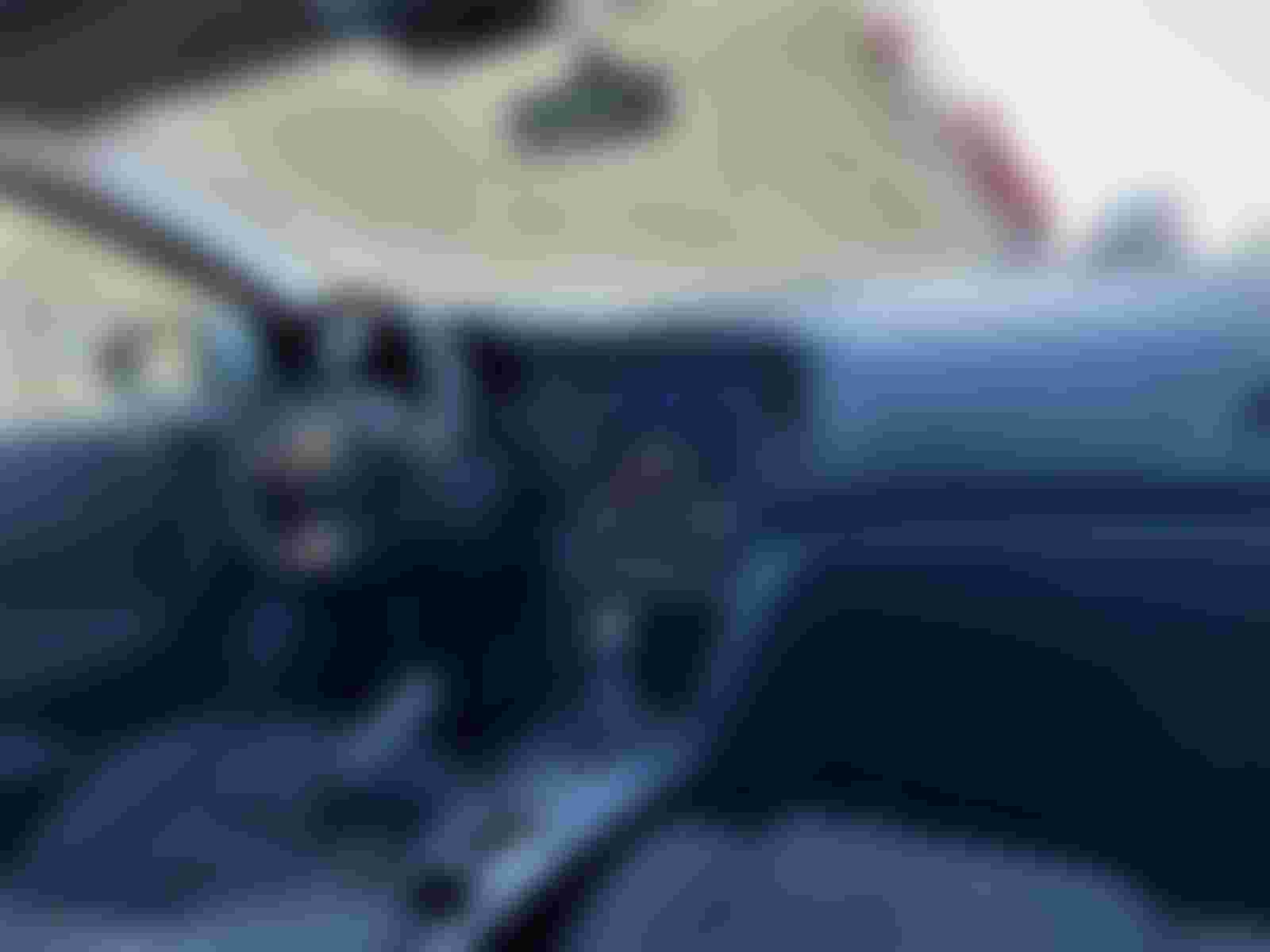 Renault MEGANE 1.5 Blue DCI 2019