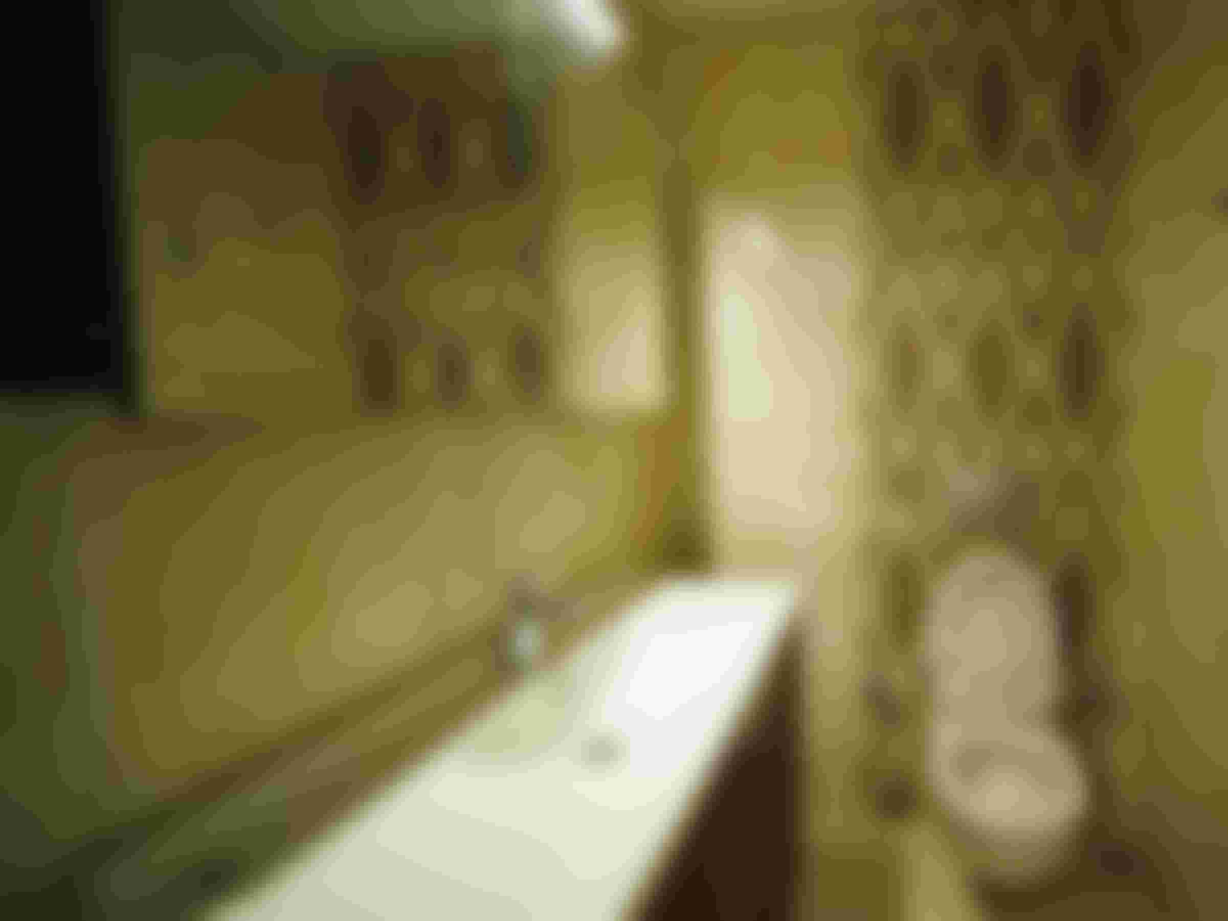 Image from the Project