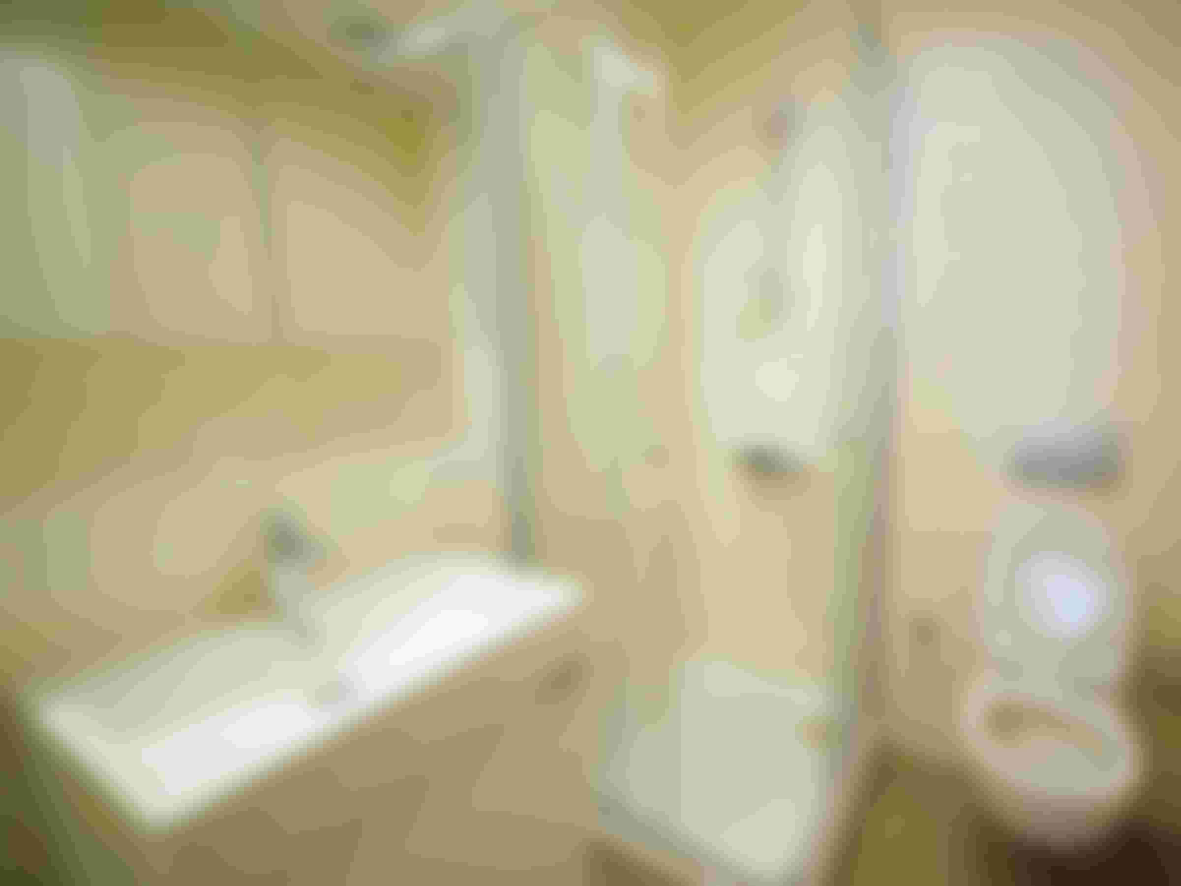 Image from the Project