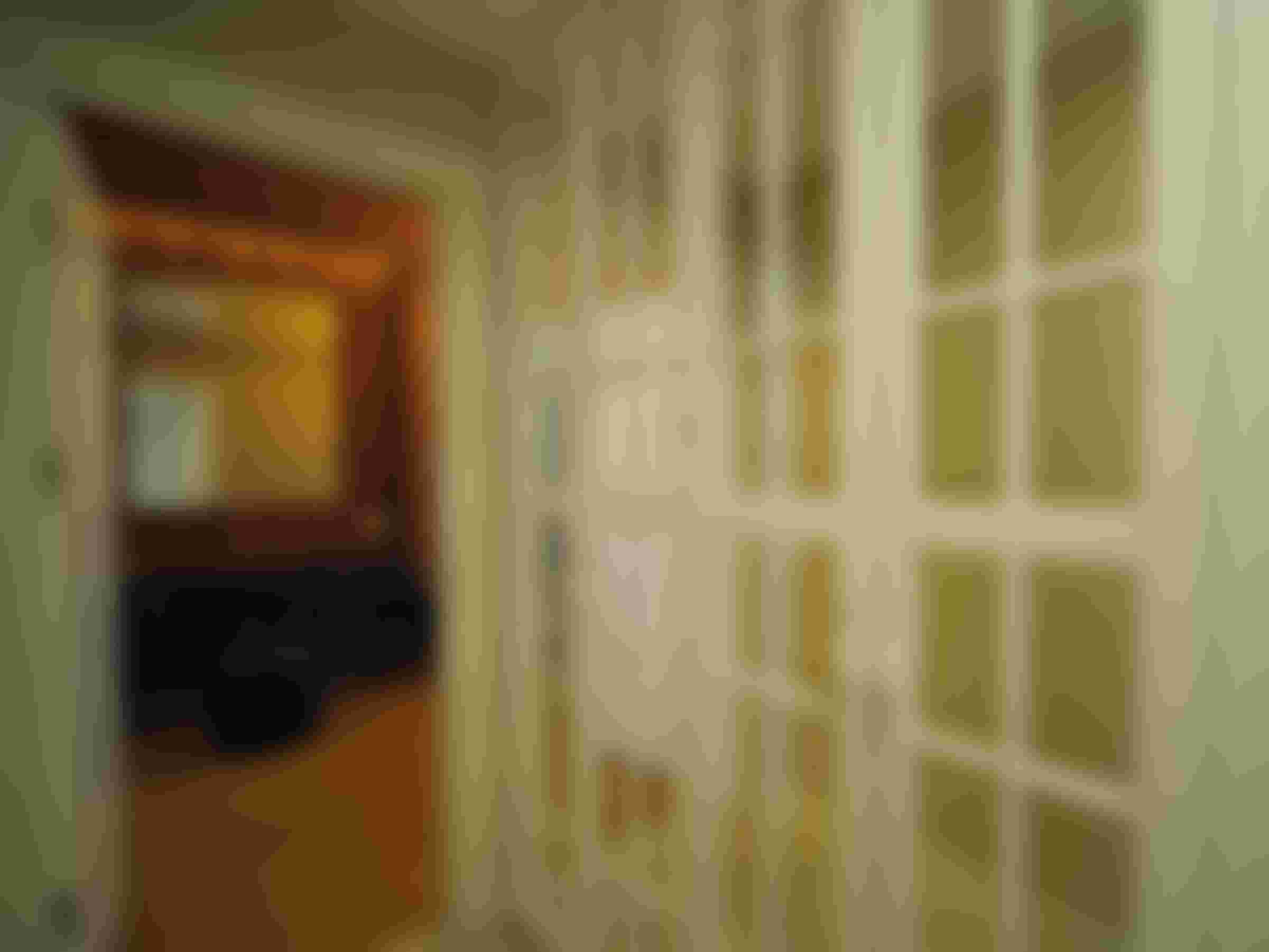 Image from the Project