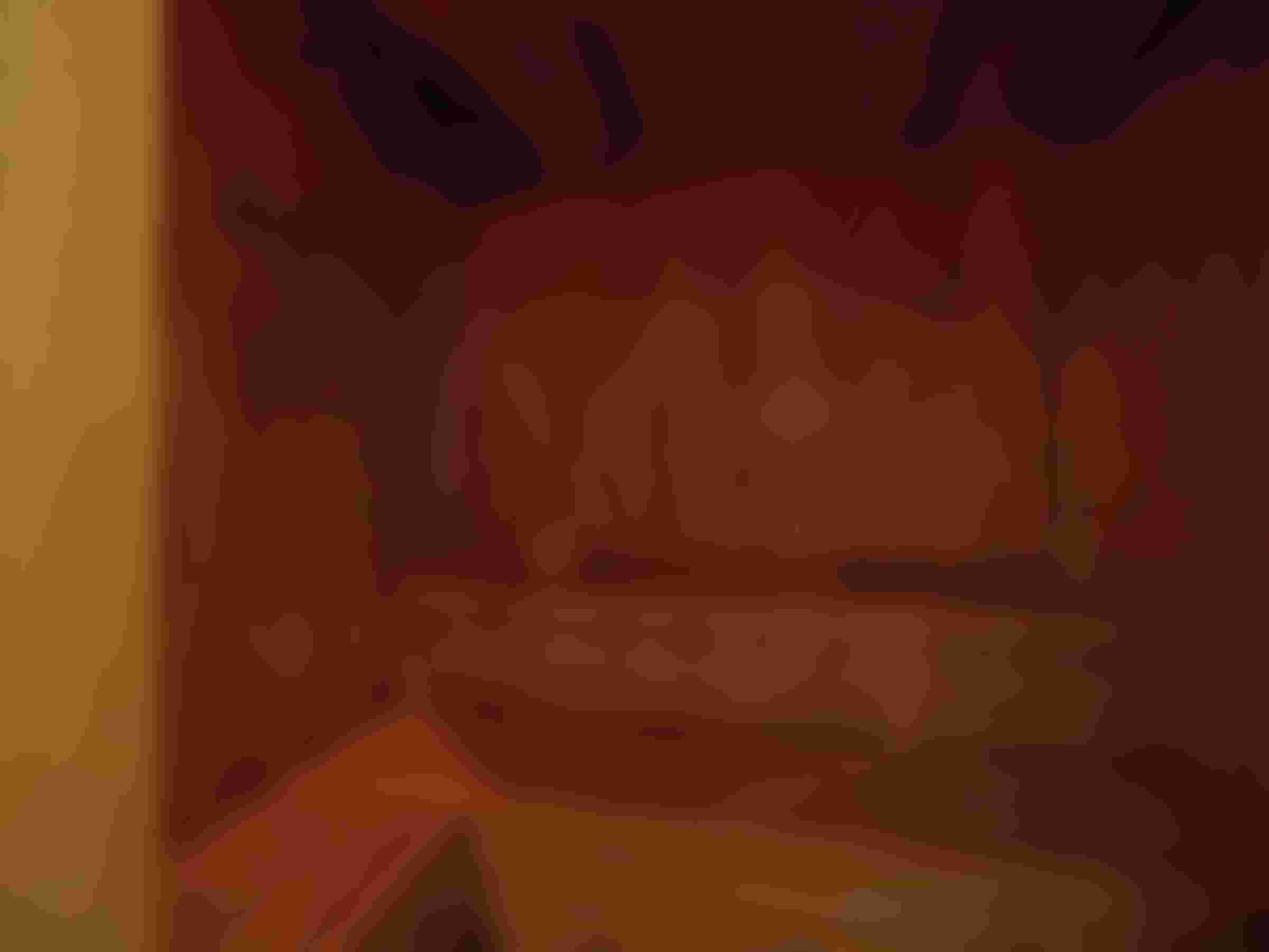 Image from the Project