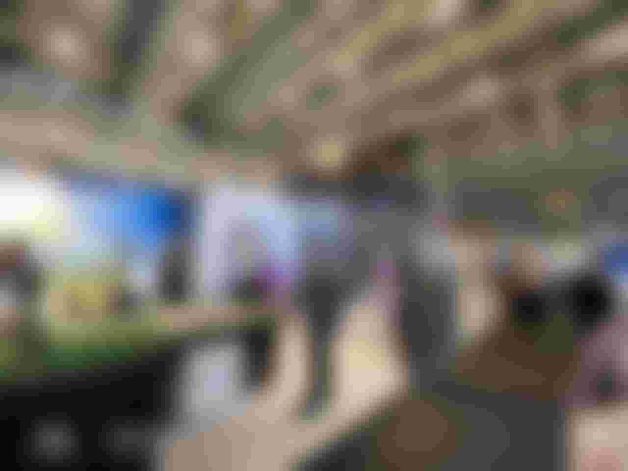 Image from the Project