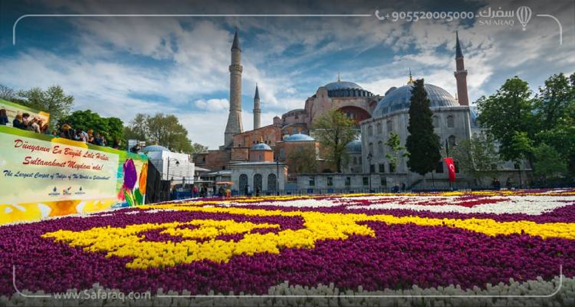 Enjoy the Colorful Tulip Festival in Istanbul Safaraq tourzim