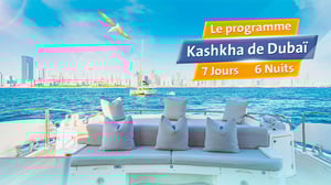 La Magnificence de Dubaï