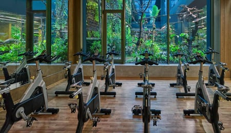 Elite World Prestige Hotel / Taksim