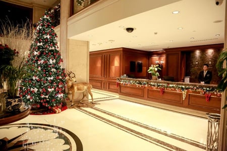 Almira Hotel