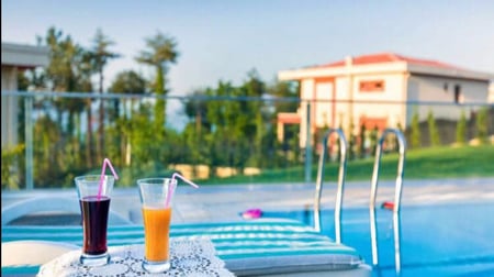 فلل خاصة في صبنجة