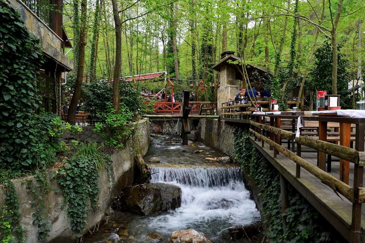 Istanbul - Sapanca – Trabzon