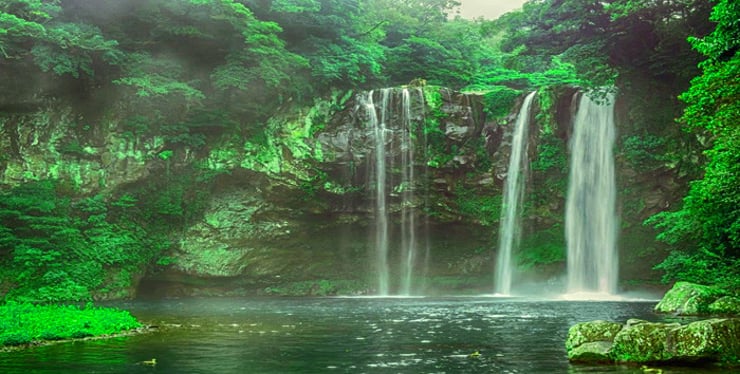 Istanbul - Sapanca - Bursa - Sile – Vialand