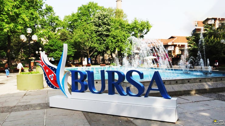 Istanbul - Yalova - Sapanca - Bursa - Sile and Agva