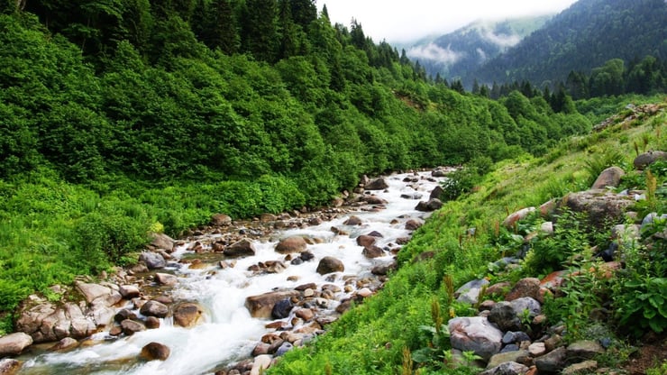 Istanbul - Sapanca – Trabzon