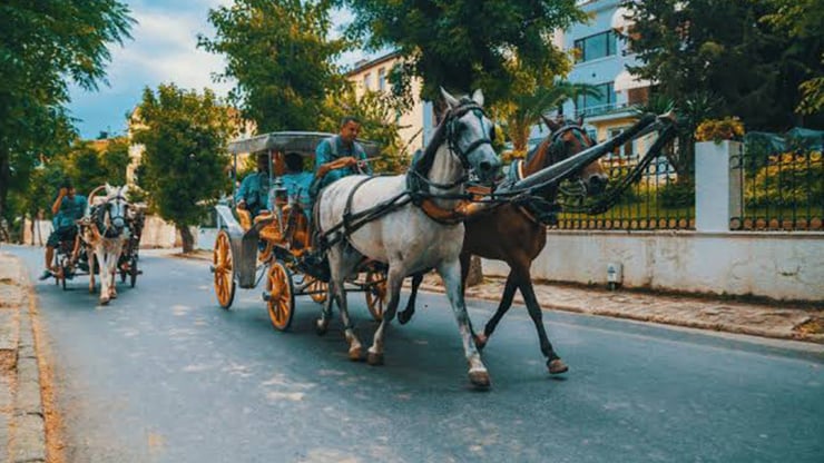 Excursion de 6 jours à Istanbul en hiver