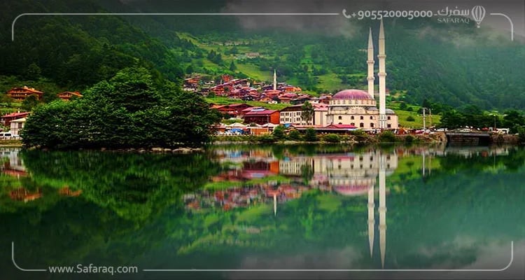 Top Tourist Companies in Trabzon