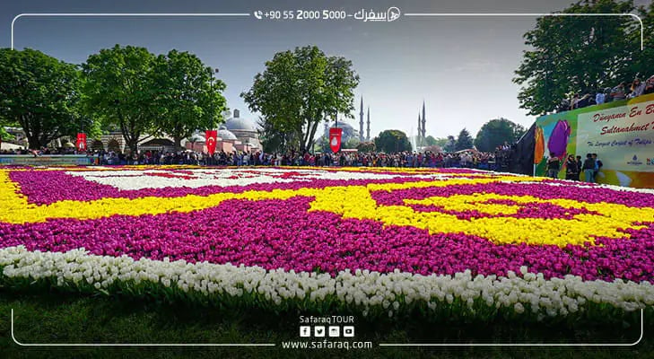Tulips decorate gardens in Istanbul: the largest carpet in Sultanahmet
