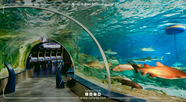 Explore Top Water Parks in Istanbul – Aquarium