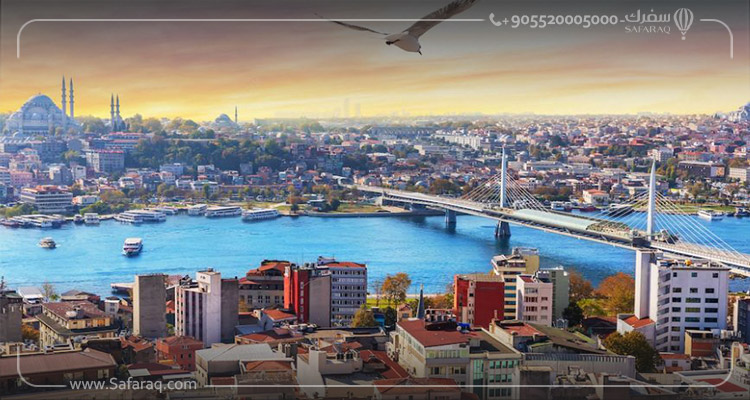 Explore the Beauty of Istanbul with Professional Tourism Companies
