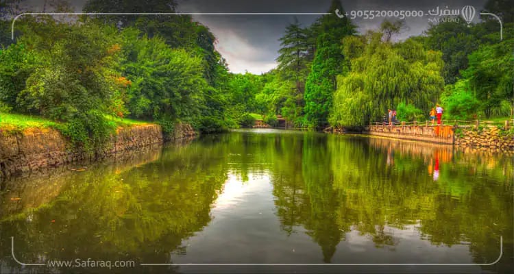 Belgrad Forest in Istanbul