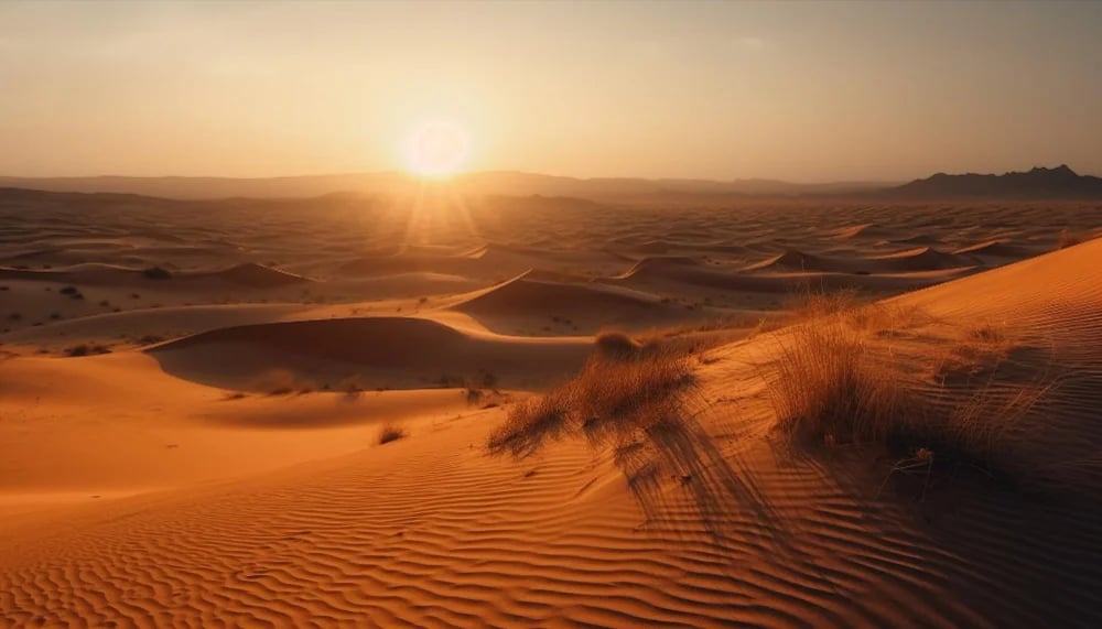 Unveiling the Magic of the Desert: A Luxurious Safari Experience in Dubai