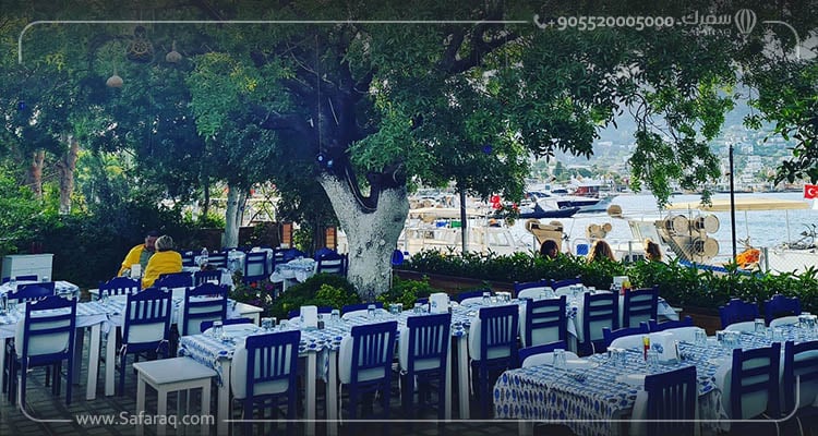 Bodrum's Most Famous and Tasty Restaurants