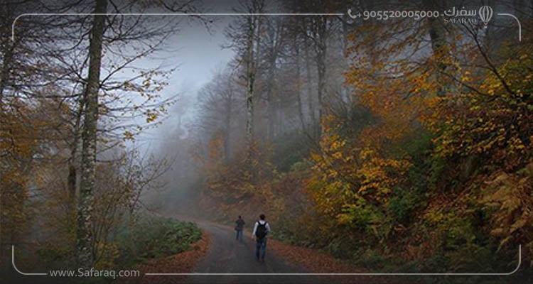 Faire du tourisme à Mont Kartepe à Sapanca Turquie