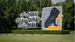 تعرف على دبي سفاري بارك وأهم الأنشطة السياحية فيها
