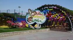 دليل السياحة الشامل حول حديقة الفراشات في دبي