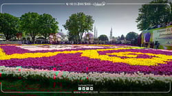 Tulips decorate gardens in Istanbul: the largest carpet in Sultanahmet Tulips decorate gardens in Istanbul: the largest carpet in Sultanahmet