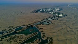 بحيرة القدرة: واحة الطبيعة الساحرة في قلب دبي