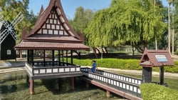 دليلك الشامل لاستكشاف حديقة مشرف في دبي