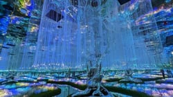 دليل سياحي شامل حول عالم آية في دبي