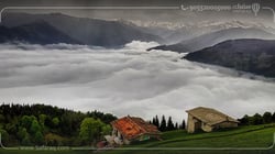 قرية الشاي في أوزونجول