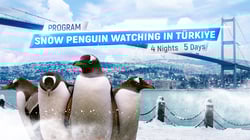 Snowy Penguin Program in Turkey Snowy Penguin Program in Turkey