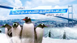برنامج البطريق الثلجي في تركيا برنامج البطريق الثلجي في تركيا