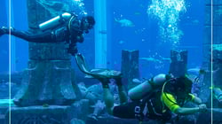 Deep Dubai Deep Dubai