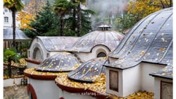 Unforgettable Tour to Yalova Unforgettable Tour to Yalova
