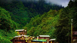 Ayder Heights Tour Ayder Heights Tour