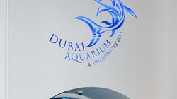 dubai aquarium dubai aquarium
