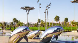 Dubai Dolphinarium Dubai Dolphinarium