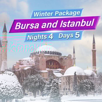 Winter of Bursa and Istanbul