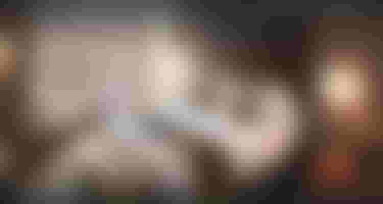التسجيل على برامج العمرة بواسطة شركة سفرك