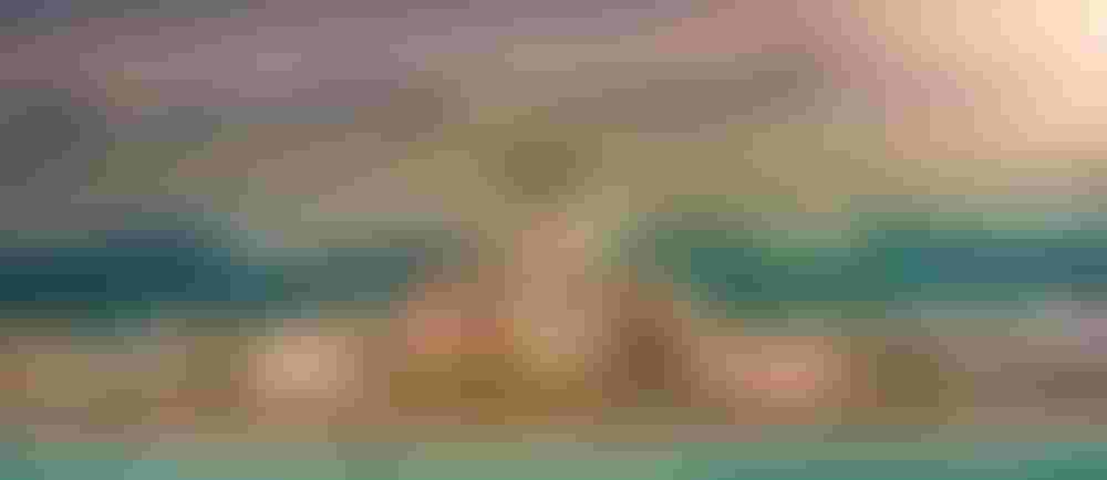 جزيرة نخلة ديرة