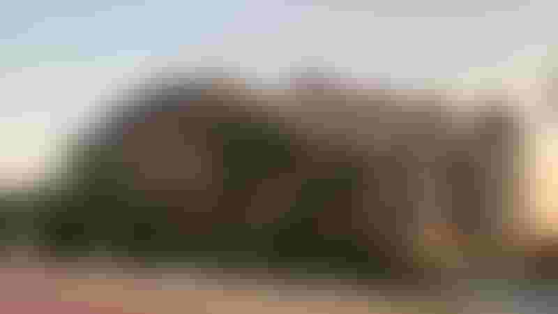 فندق أنانتارا دبي النخلة