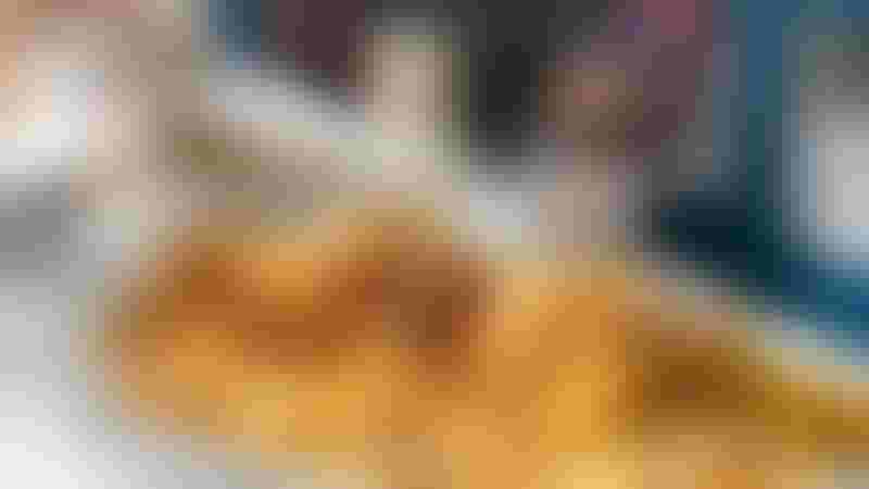 أرابيان تي هاوس