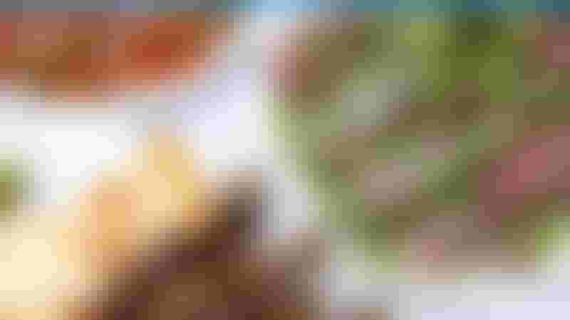 Ayder Top Restaurants