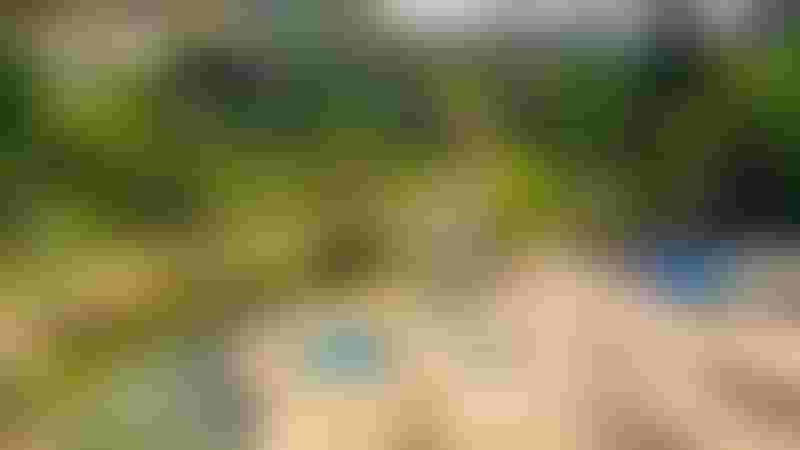 حديقة زاغنوس طرابزون