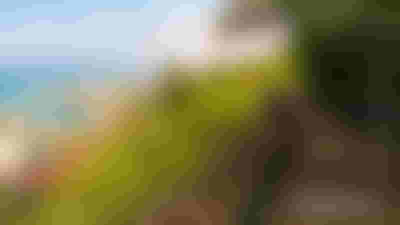 حديقة بوزتبه