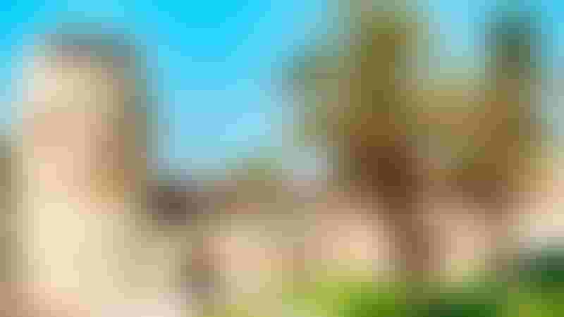 قلعة أم القيوين