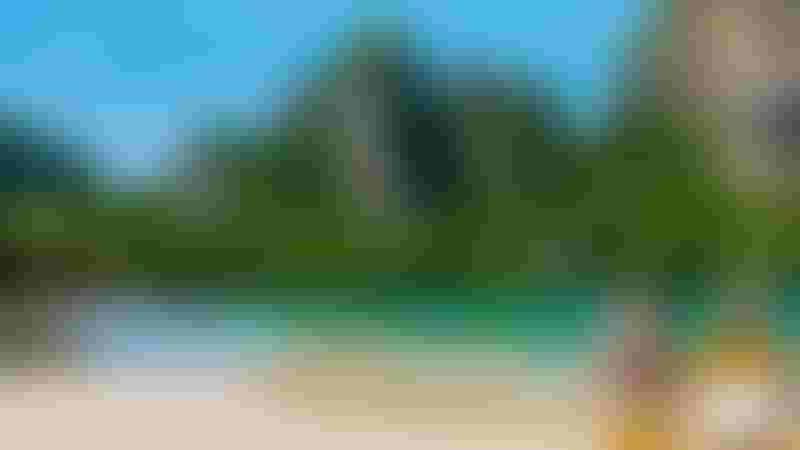 برنامج شهر العسل