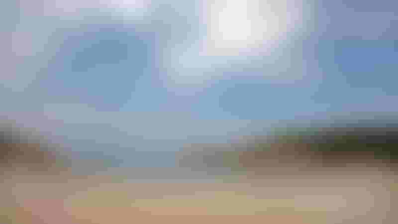 The Golden Beach