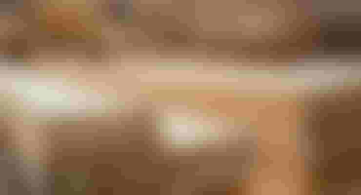 الخشب الصلب (Hardwood)